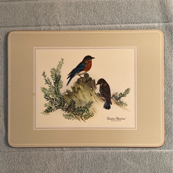 Pimpernel Traditional Placemats, Birds - Picture 6 of 8